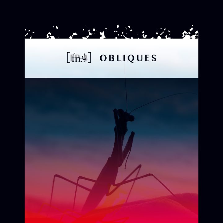 EP-4 [fn.ψ] — OBLIQUES